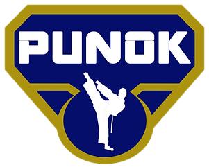 ¿ CONOCES PUNOK?: LA NUEVA MARCA DEL KARATE