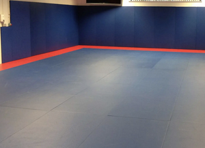 PROTECTOR PARED  "SISTEMA VELCRO"