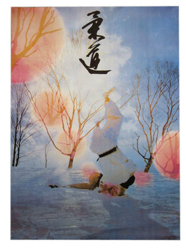POSTER JUDO STRIKING