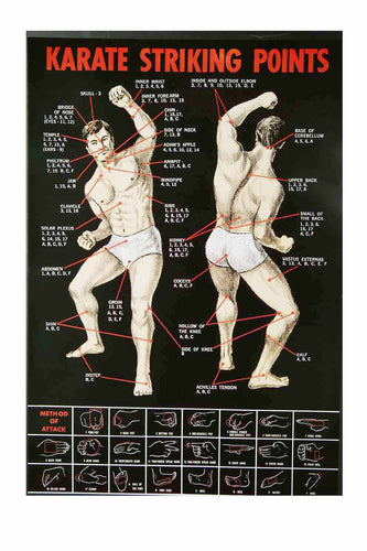 POSTER KARATE STRIKING POINTS